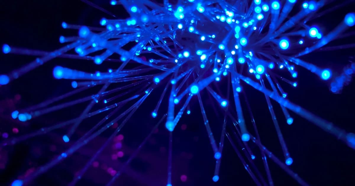 Écran de monitoring et maintenance technique de site internet avec indicateurs de performance