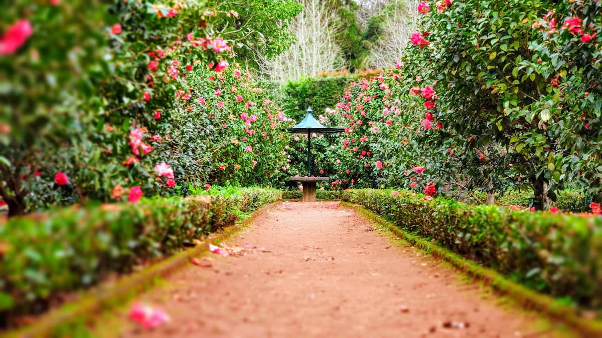 Jardin paysager avec massifs fleuris et allée en pierre naturelle